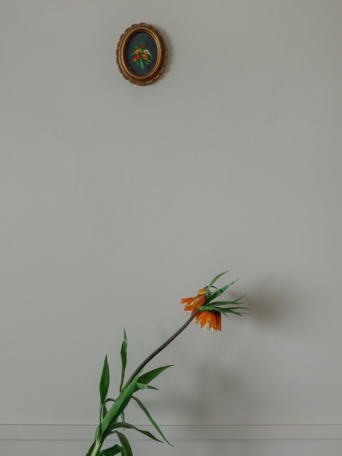 Квартира Cozy Orange